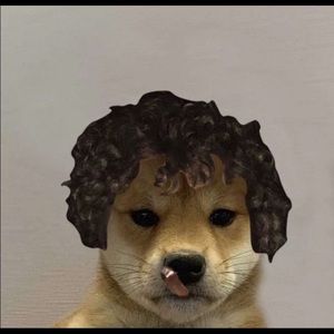 Meet your Posher, Thalia